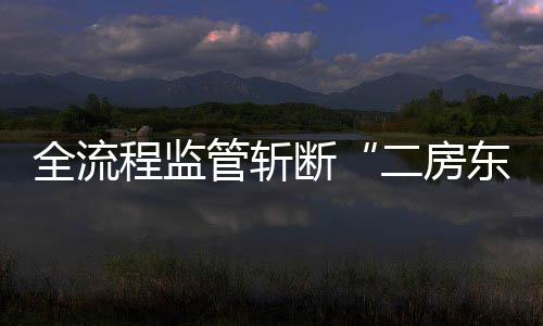 二房利益链全流断东管斩非法程监