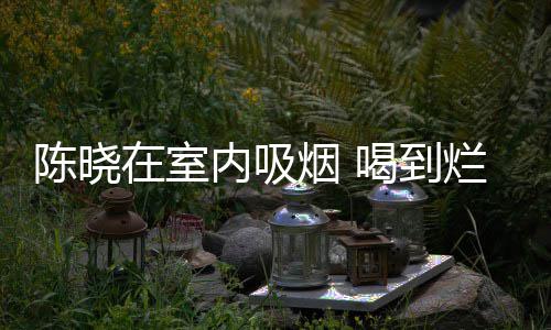 如泥烂醉内吸被人喝到在室架走烟 陈晓